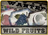 Wild Fruits